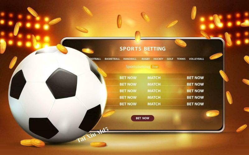 Tham gia Sbobet Sport nhận ưu đãi